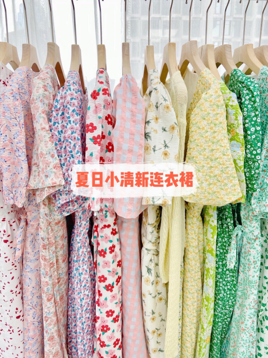 广州厂家 【全新仙女连衣裙】实体店同步夏季...