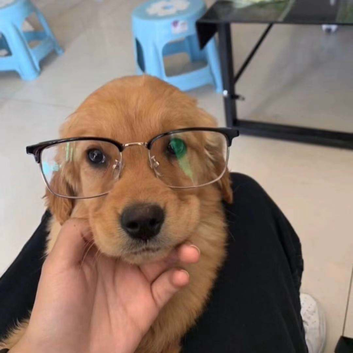 微软surface pro3 512/25...