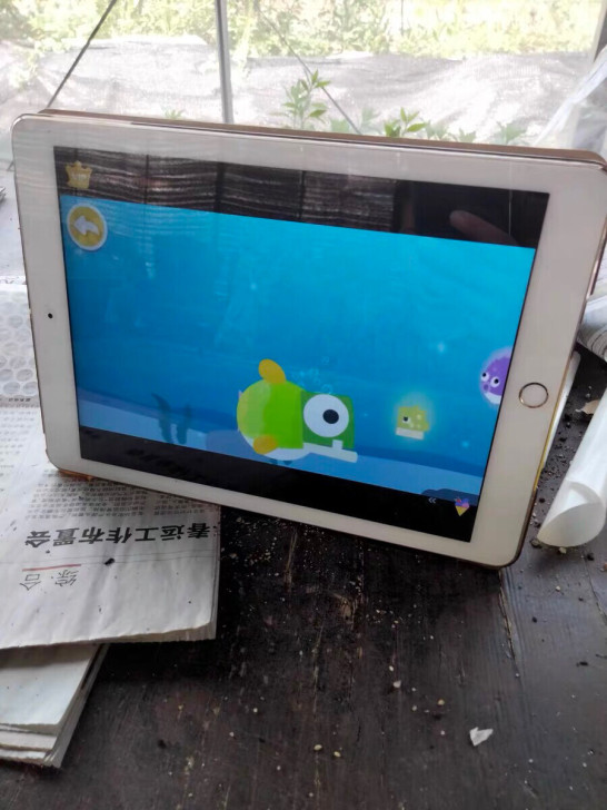 ipad air2 128g ipad6 ...