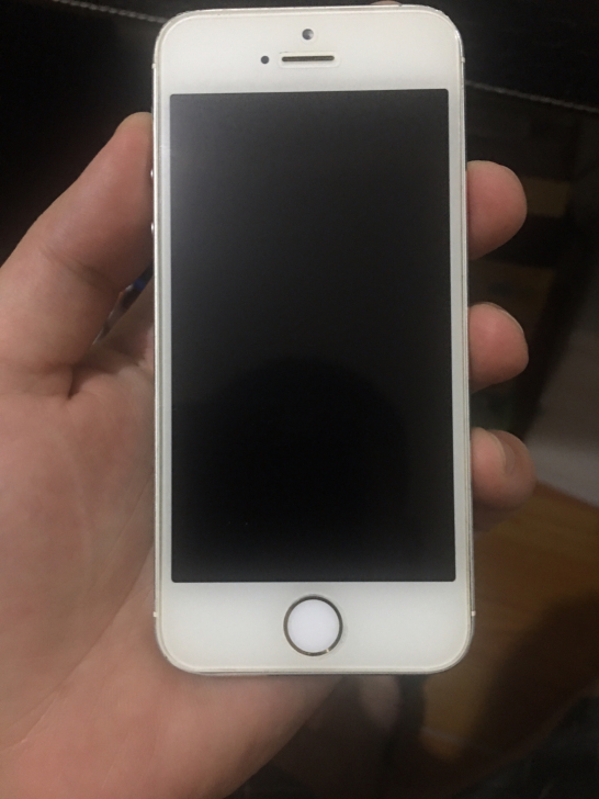 国行 5S 16G 8.1.1