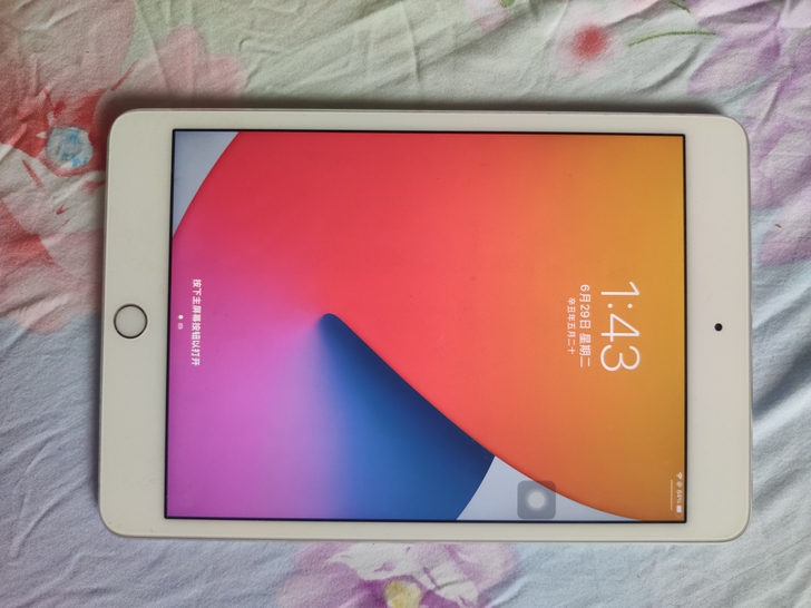 一手自用国行ipad mini4 64G ...