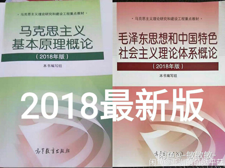 马原毛概马克思马基毛中特2018版二手马克...