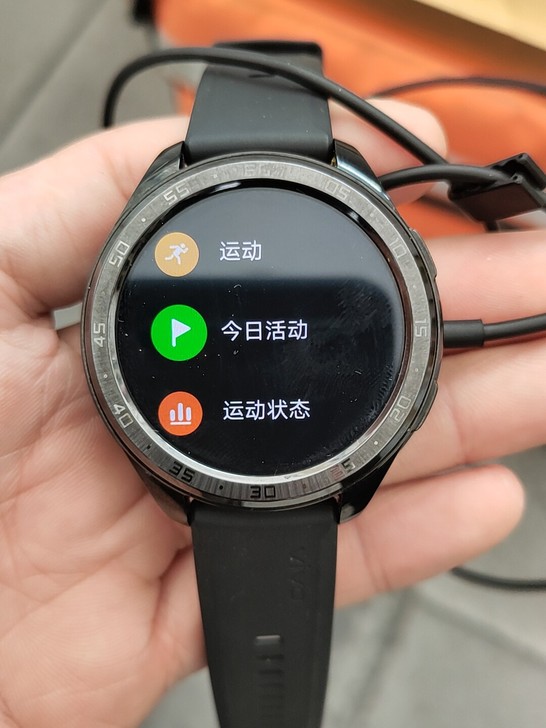 vivowatch 4.6 如图所示