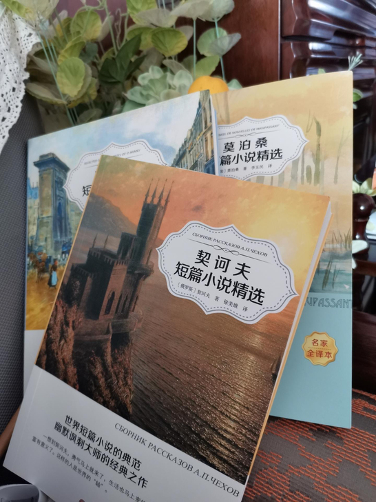 外国名著莫泊桑欧亨利契诃夫短篇小说精选青少...