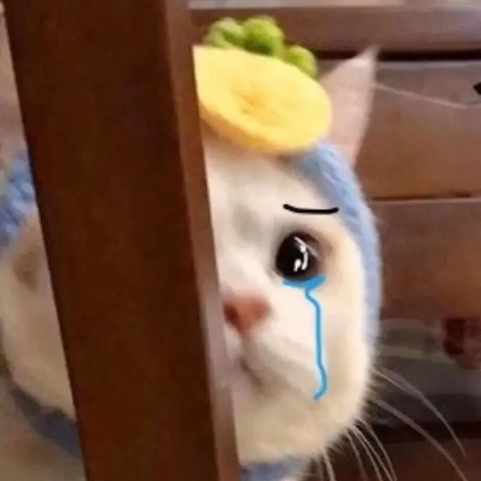 收ccd相机 老式数码相机  希望在两百以...