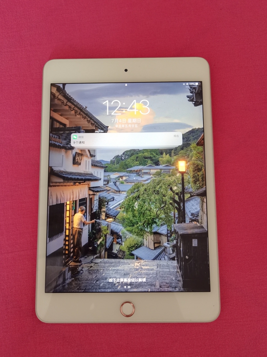 iPad mini5 国行 64G WiF...