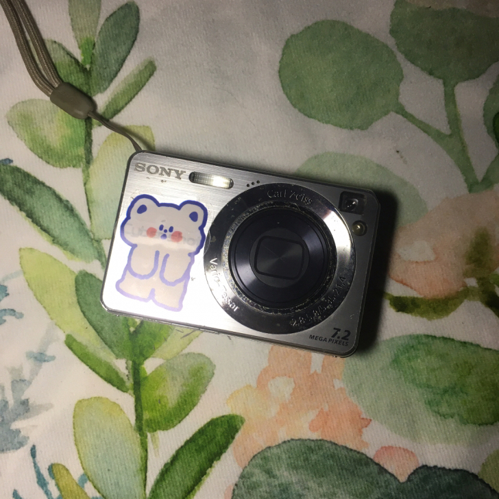 索尼w110|经典ccd相机