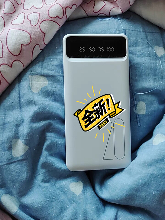 亏本处理20000充电宝的  一个19.9...