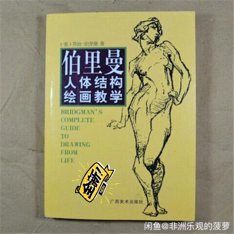 伯里曼人体结构绘画教学 素描零基础入门 速...