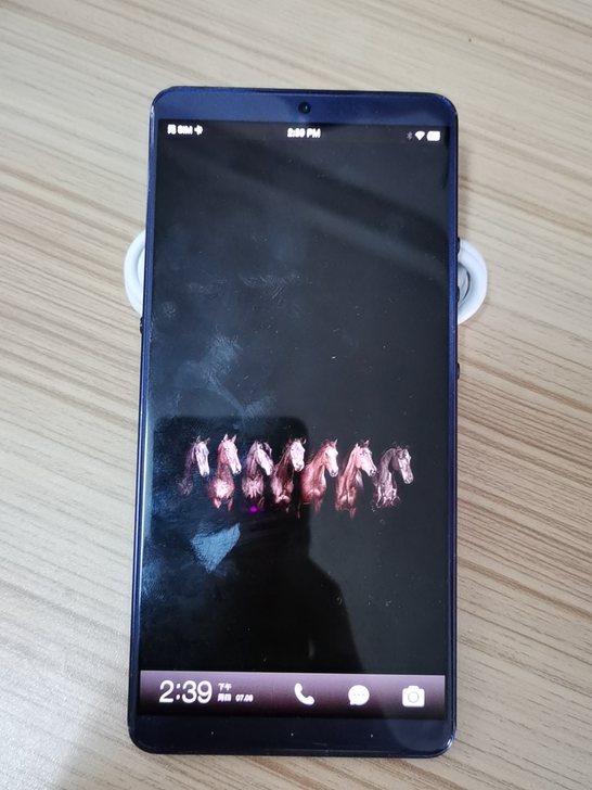 坚果Pro2s，6+64g