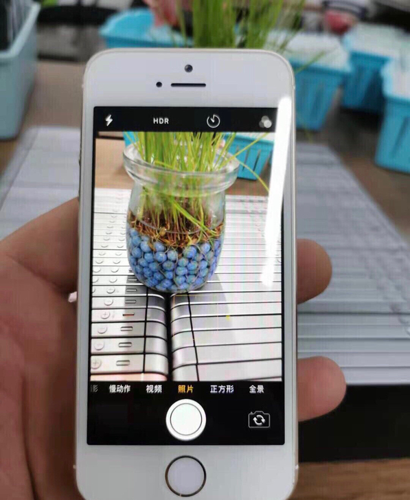 苹果5s iPhone5s 苹果5s  九...