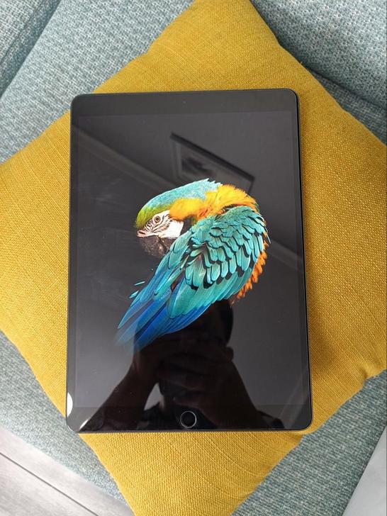包邮苹果iPad  Air3   64G ...
