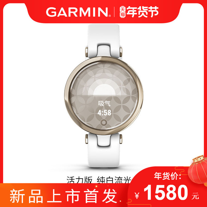Garmin/佳明 智能手表