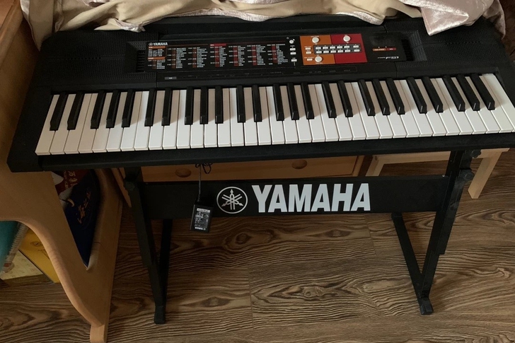 雅马哈(YAMAHA) PSR- F51 ...