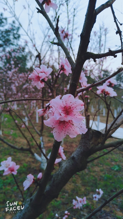 求购魅蓝note6 ...4+64一台当备...