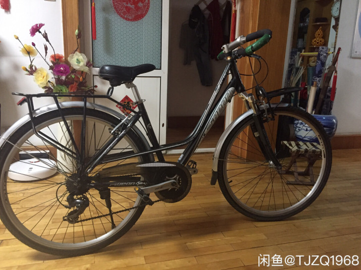 飞鸽旅行自行车