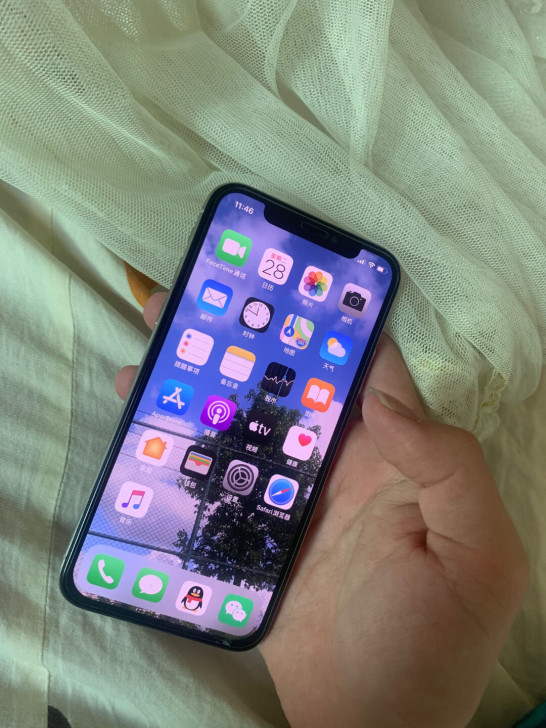 品牌型号 iPhone 苹果 X