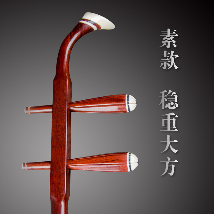 苏州天乐红木二胡乐器初学考级演奏成人儿童通...