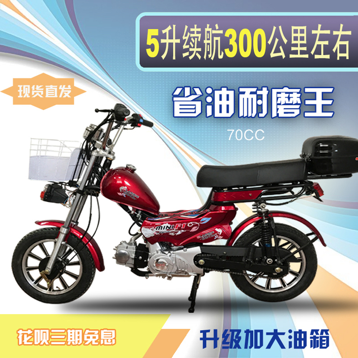 SML 旅行自行车