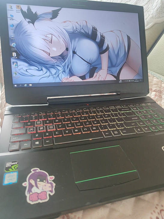 神舟战神z7m     i5-8300h ...