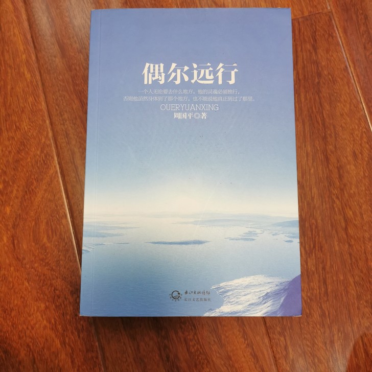 《偶尔远行》,99新,邮费AA,售出不退不...