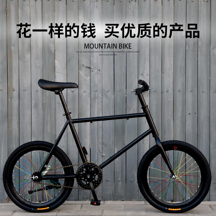 桑浦 死飞，新买，薛家湾自提