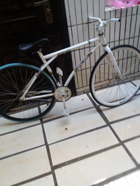 有要的白色死飞,安微省淮南市田区