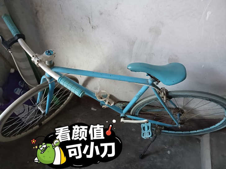 休闲娱乐单车，轻便好骑死飞自行车，学生自行...
