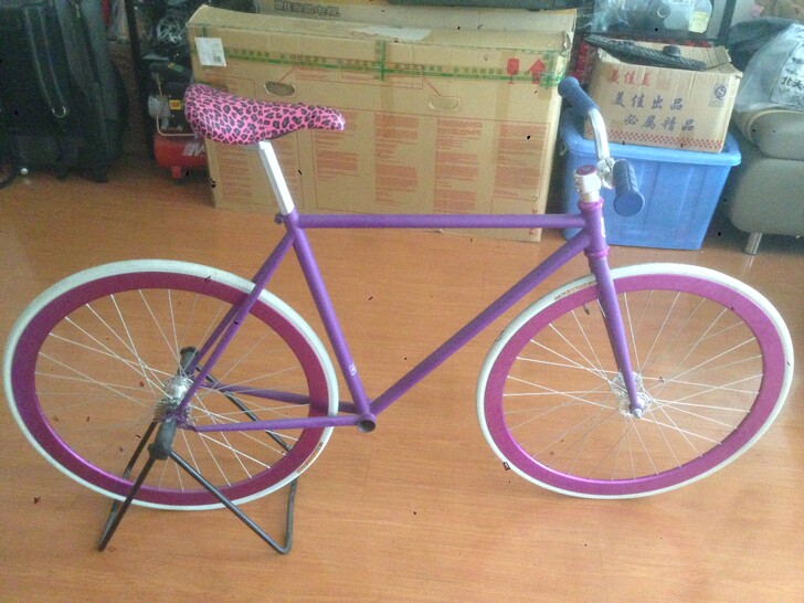 死飞 固齿 场地自行车 复古自行车