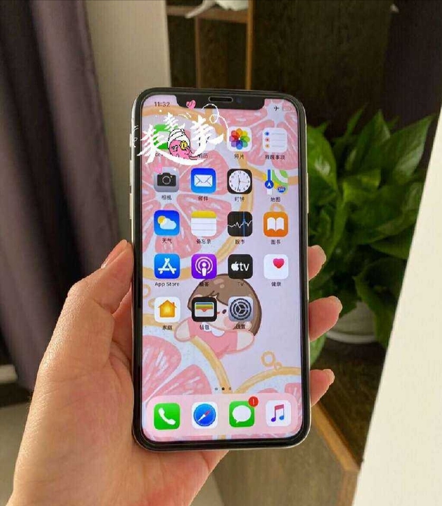 女生自用 iphoneX 国行 银白色25...