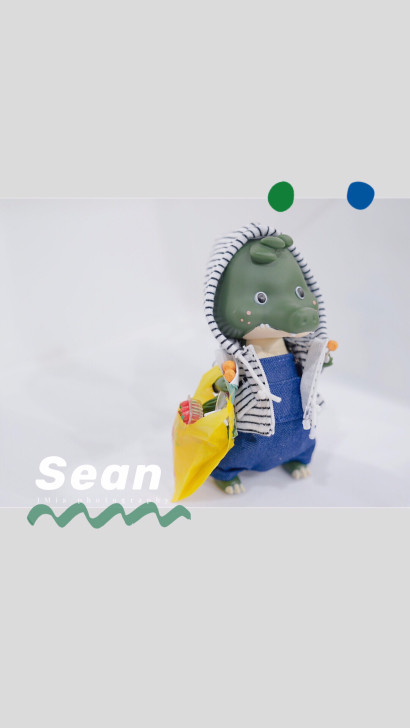 sean   连帽卫衣/雷锋帽