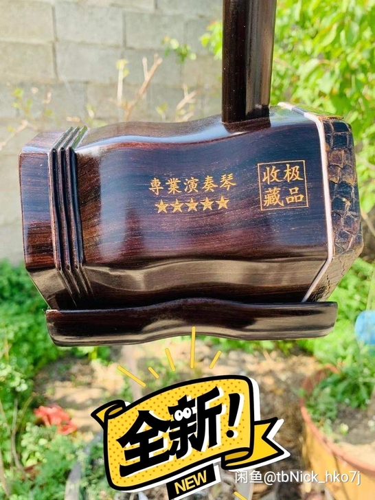 二胡黑檀二胡，五星级专业演奏琴，极品收藏！...