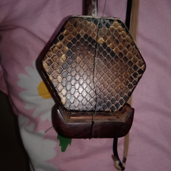 真蛇皮二胡 老红木的 弦断了得自己接
