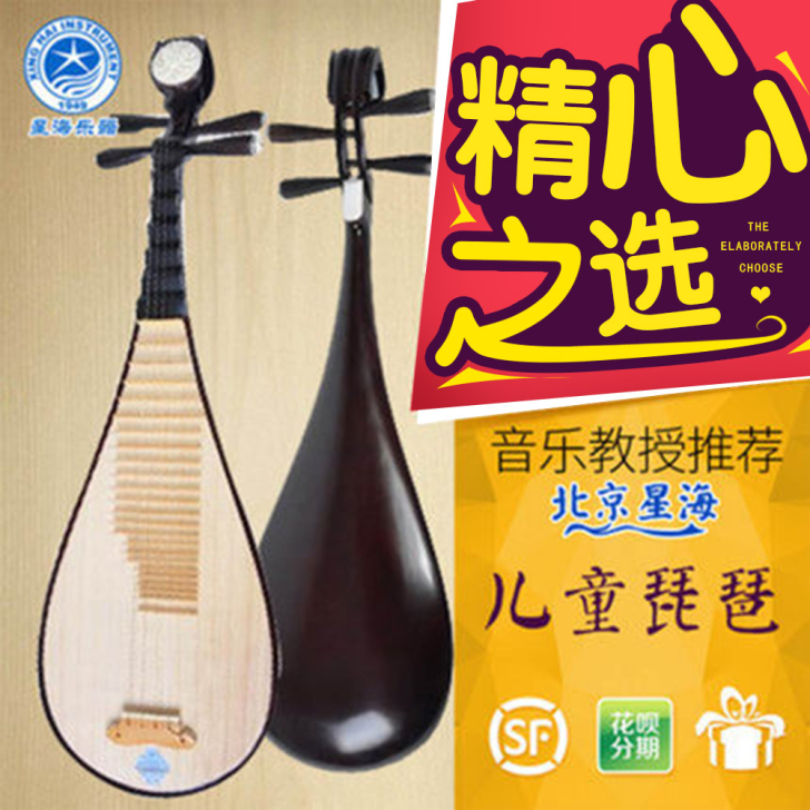 星海琵琶乐器硬木骨花琵琶黑檀轴琵琶 成人儿...