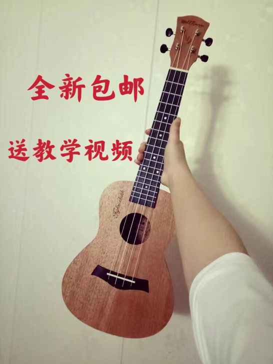 原价三四百朋友送的，家有二宝没时间学，全新...