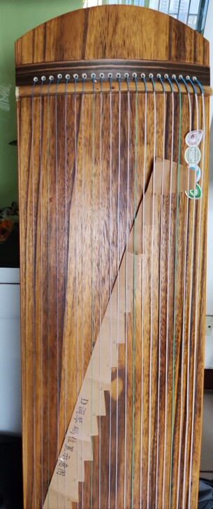 小古筝125cm21弦便携筝琴行倒闭清仓处理