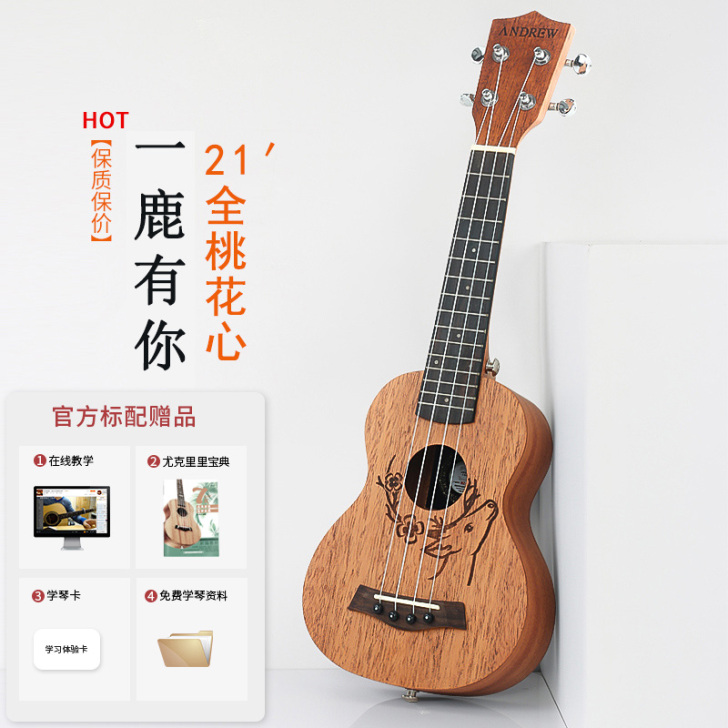 安德鲁尤克里里初学者学生成人女男23寸乌克...