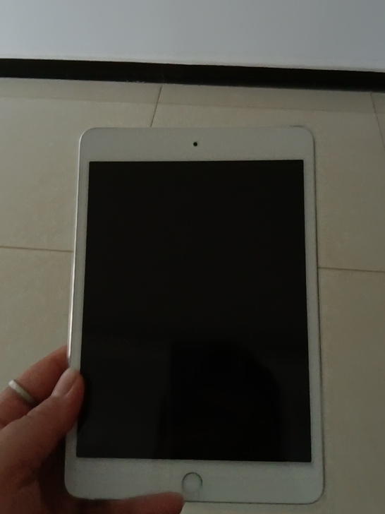 个人自用，ipad  mini 4  ，1...