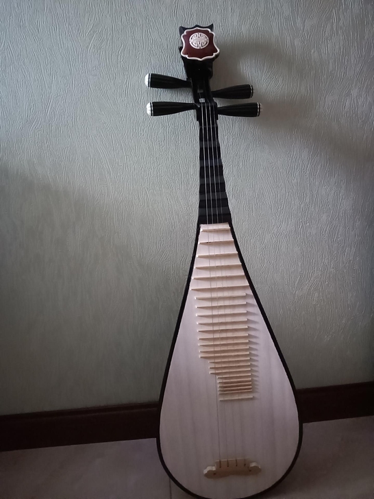 琵琶 全新成人的处理3把 一直放着没弹过 ...