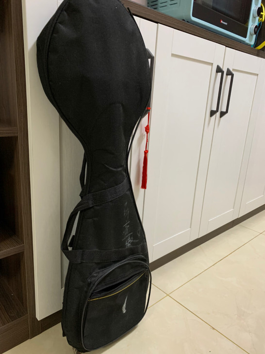 儿童琵琶（一般适合身高135以下的孩子）学...