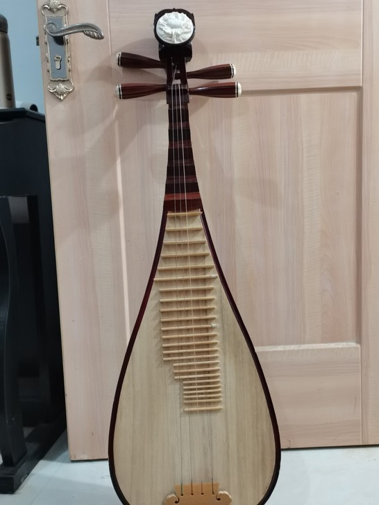 帮同学出两把琵琶，八成新，一起组团学琵琶，...