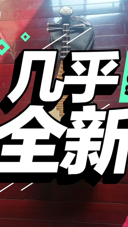 家里闲置琵笆一把