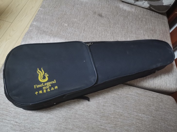 小提琴进阶级，在凤城五路世纪金花音乐学院培...