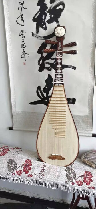 各种高低档成人儿童琵琶，，。。。欢迎老师，...