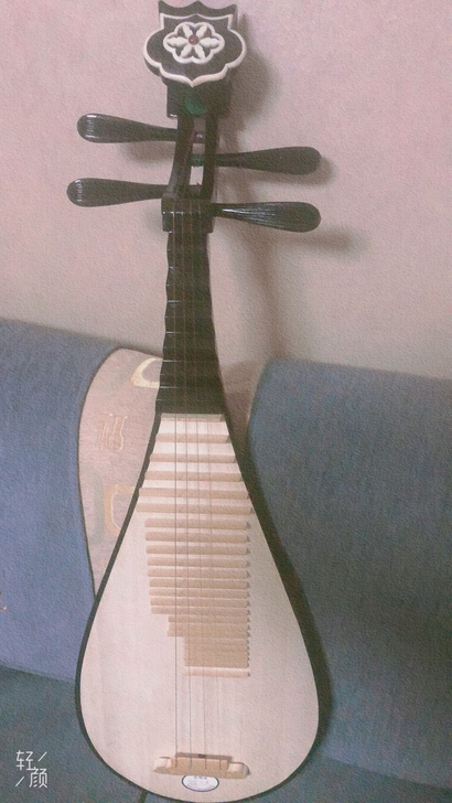 全新琵琶，孩子指头短没学成，刚买的，出手4...