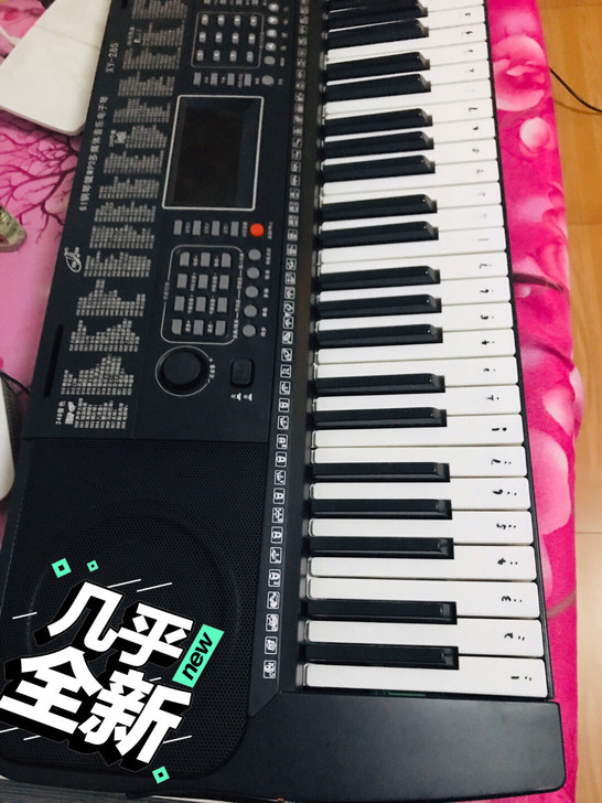 新韵电子琴61键，今年上半年唯品会购，本人...