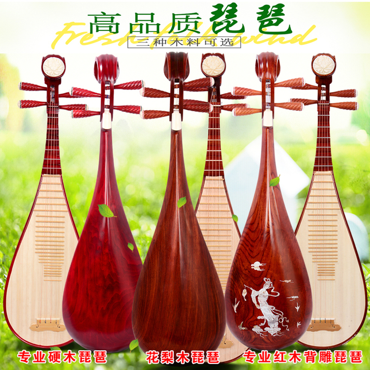 琵琶乐器成人 儿童初学者入门练习琵琶 考级...