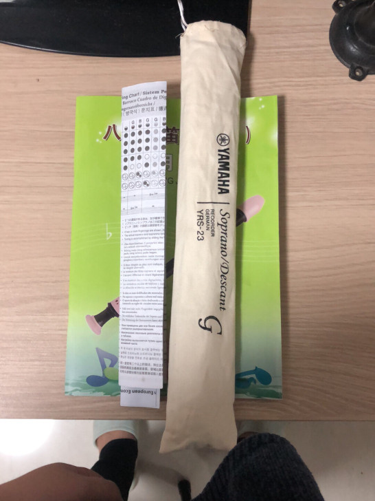 雅马哈笛子，新买的不会吹，带教程，原价处理...