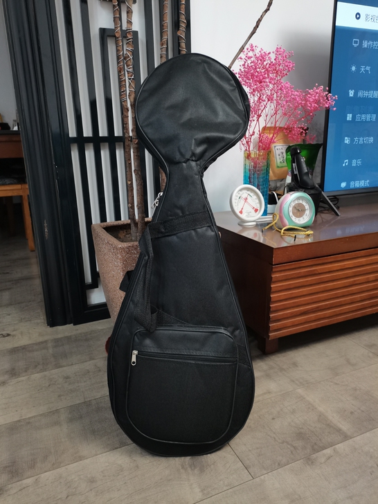 启蒙琵琶练习琴,用了一年。孩子换琴,故闲置...