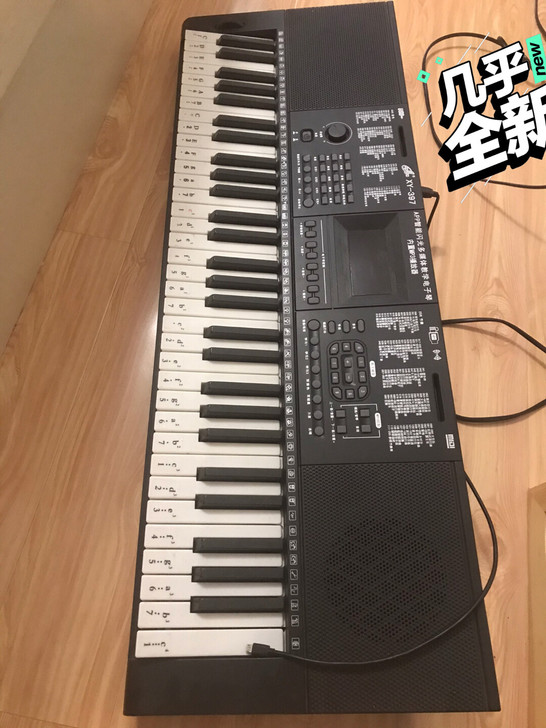 61键xinyun新韵电子琴键盘电钢琴 黑...